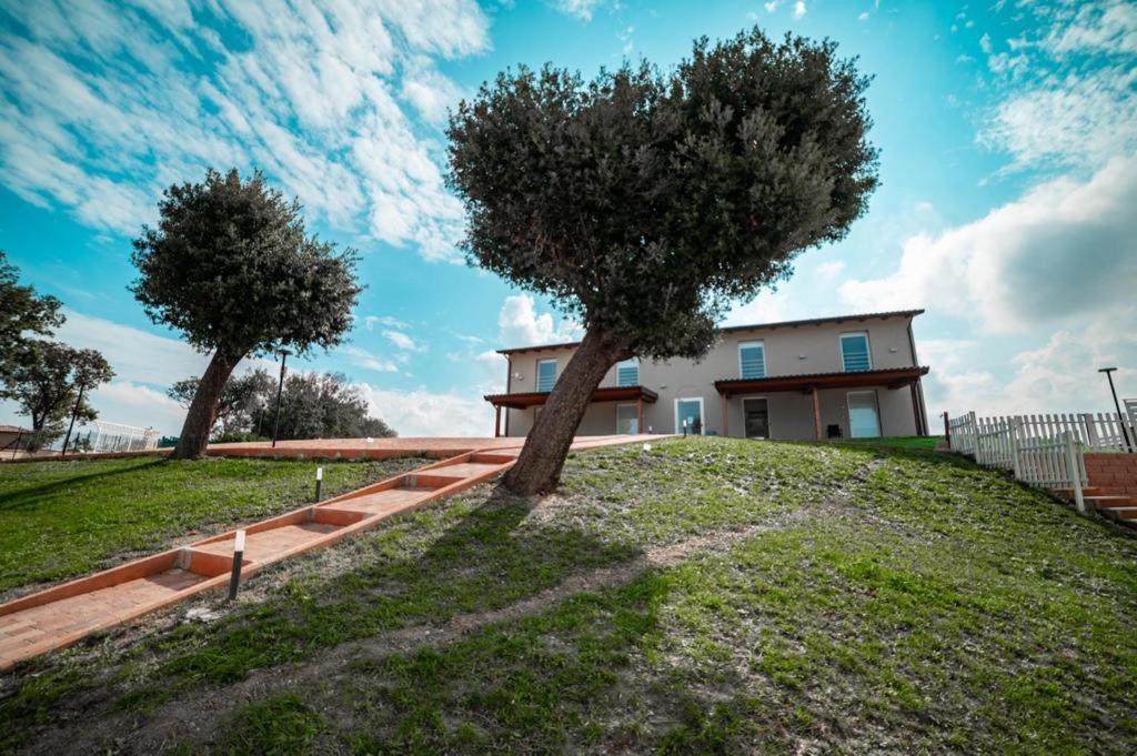Agriturismo Il Colle Dei Lecci Ancona Bagian luar foto